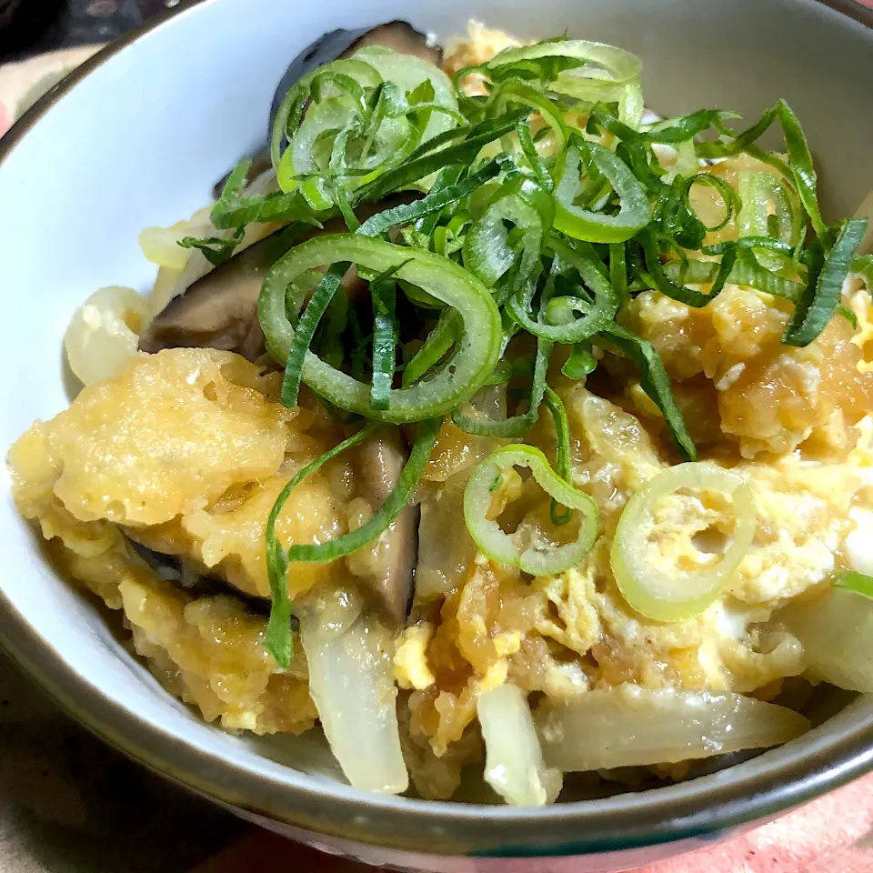 天かすと卵の丼（玉ねぎ、椎茸、ネギ）|くのっちさん