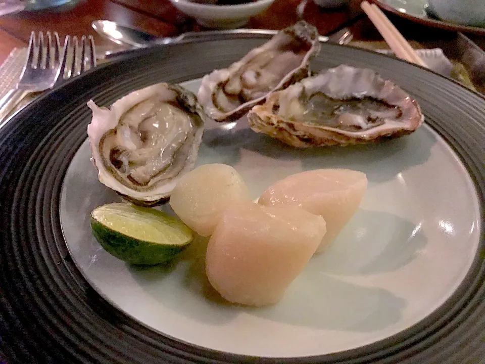 Oysters and scallops|Sky Blueさん