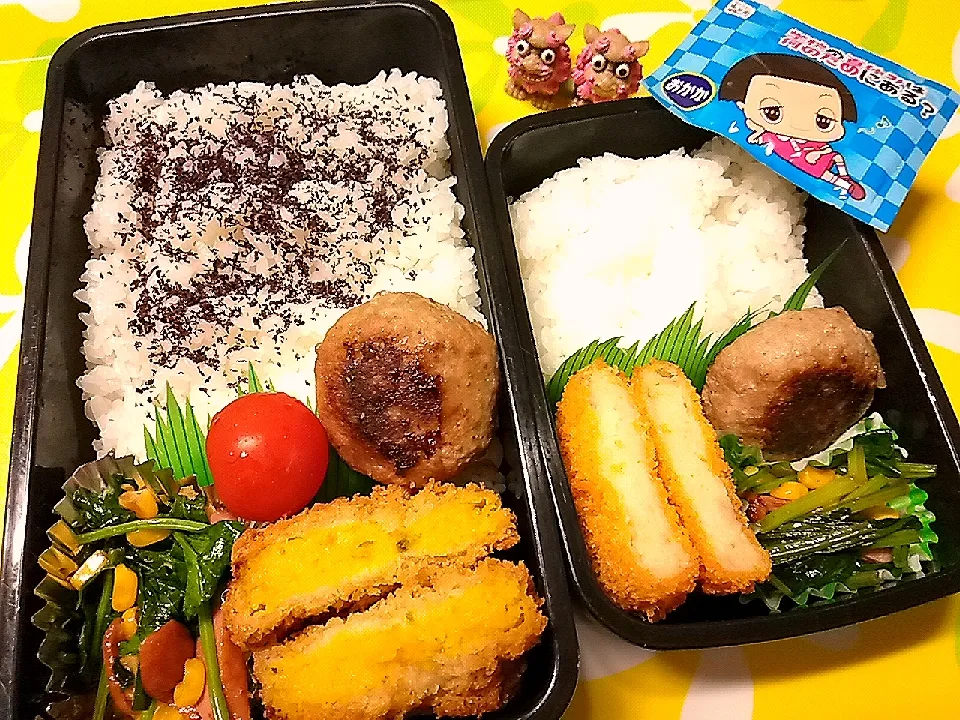 夫の弁当、娘の弁当|みどりさん