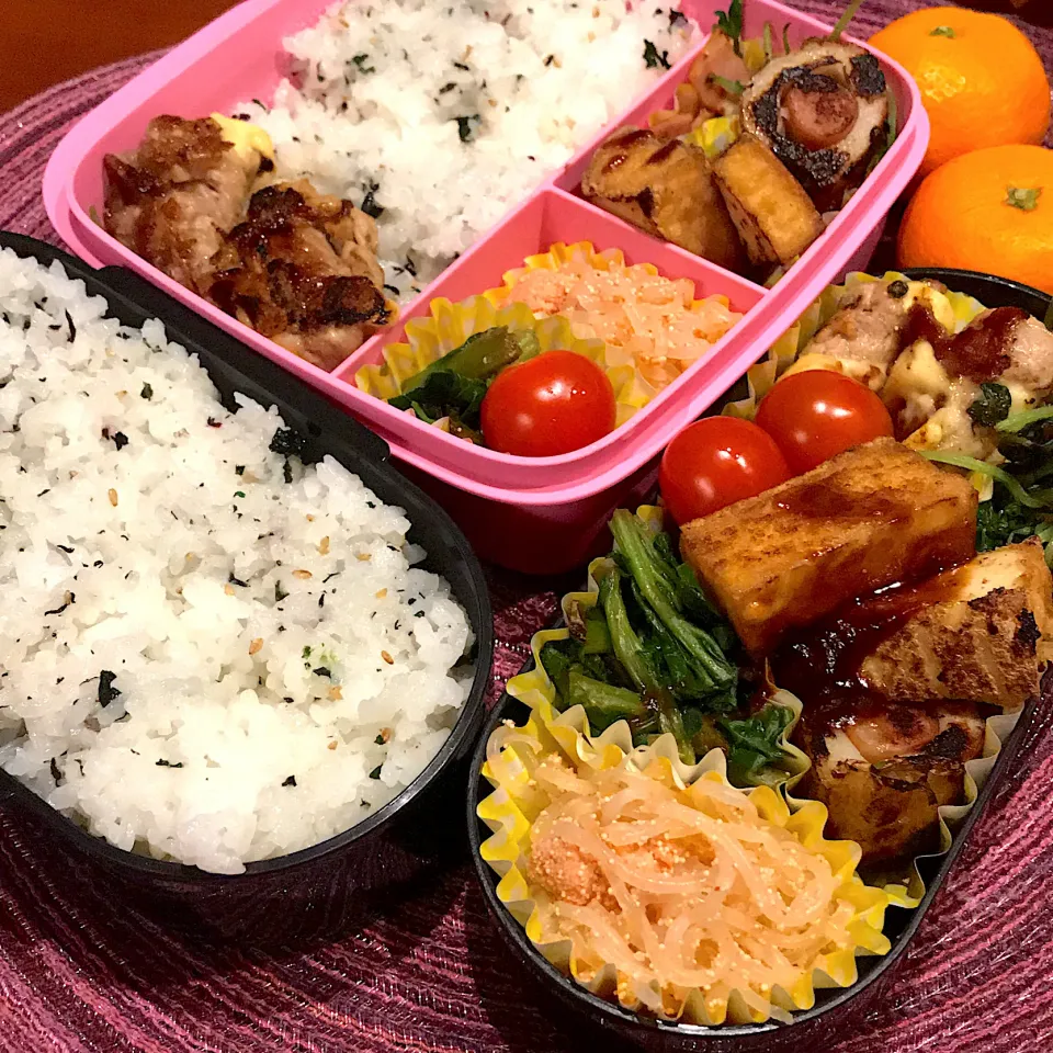 今日のお弁当🍱|mokoさん