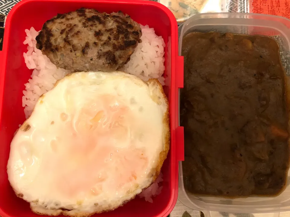 Snapdishの料理写真:ハンバーグカレー弁当|freeさん