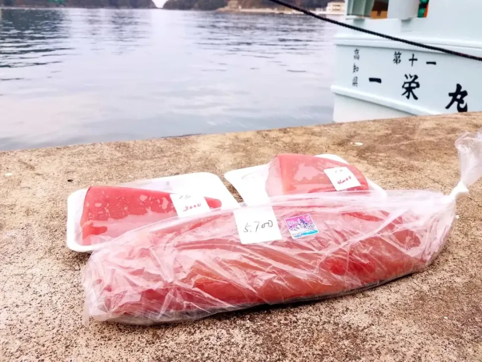 那智勝浦漁港にて、生マグロを買い付けに🐟💨|masaki .fさん