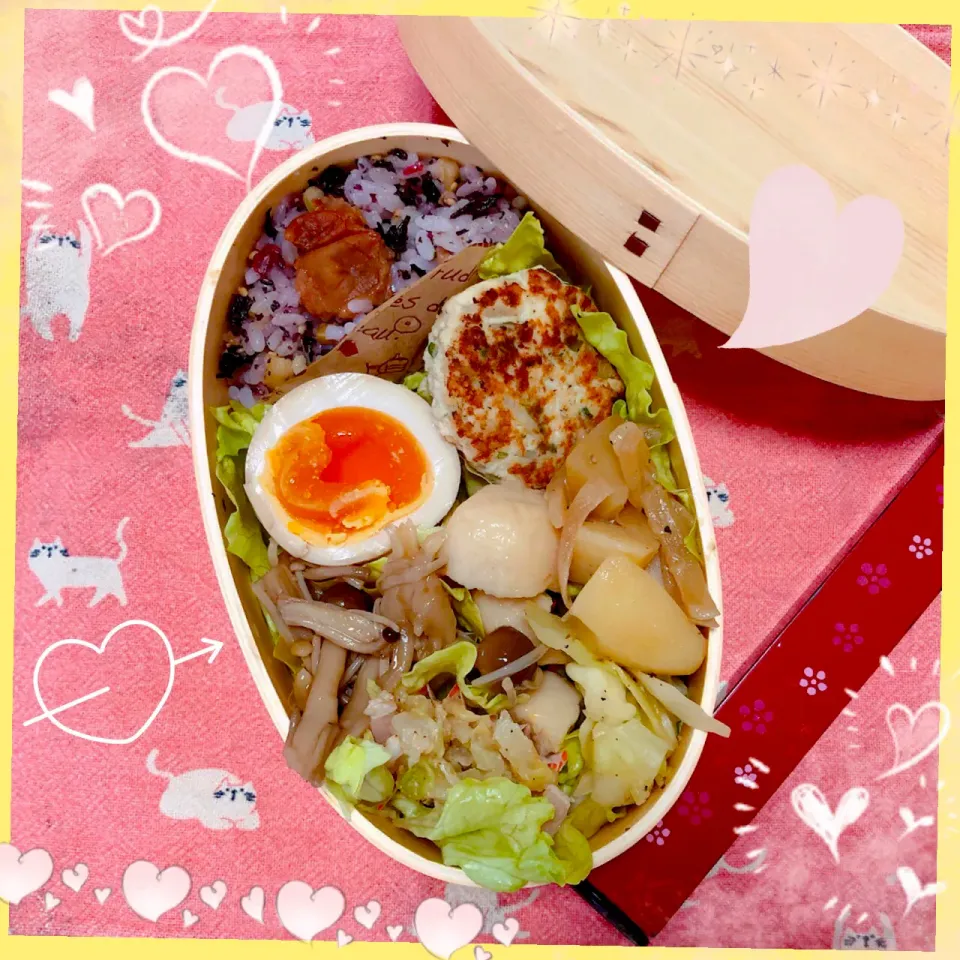 Snapdishの料理写真:１／２８ ｔｕｅ 豆腐ハンバーグ弁当🍴|rinaronarさん