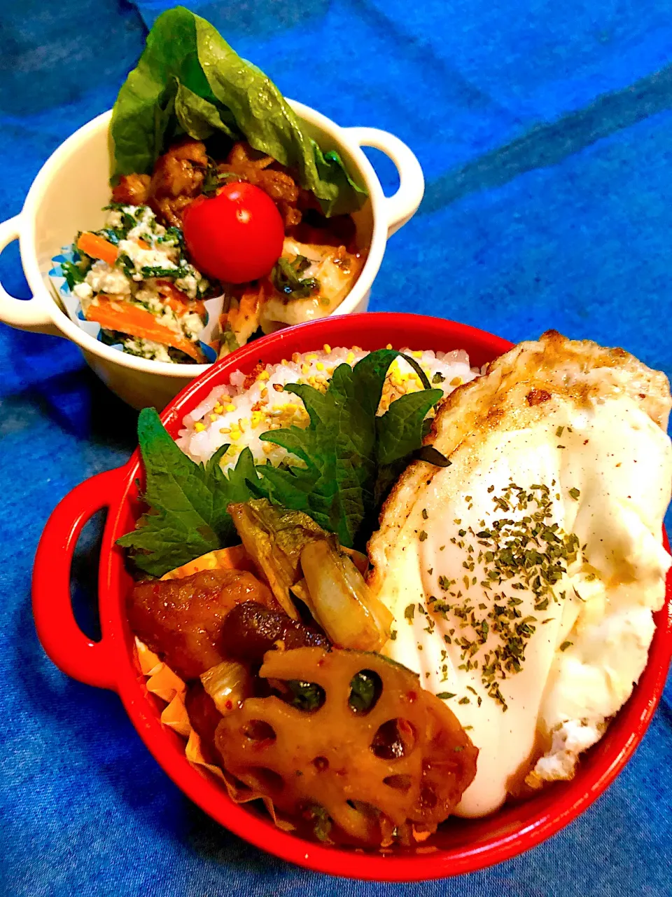 Snapdishの料理写真:今日の旦那のお弁当🍱|ぷーはるひゅうさん