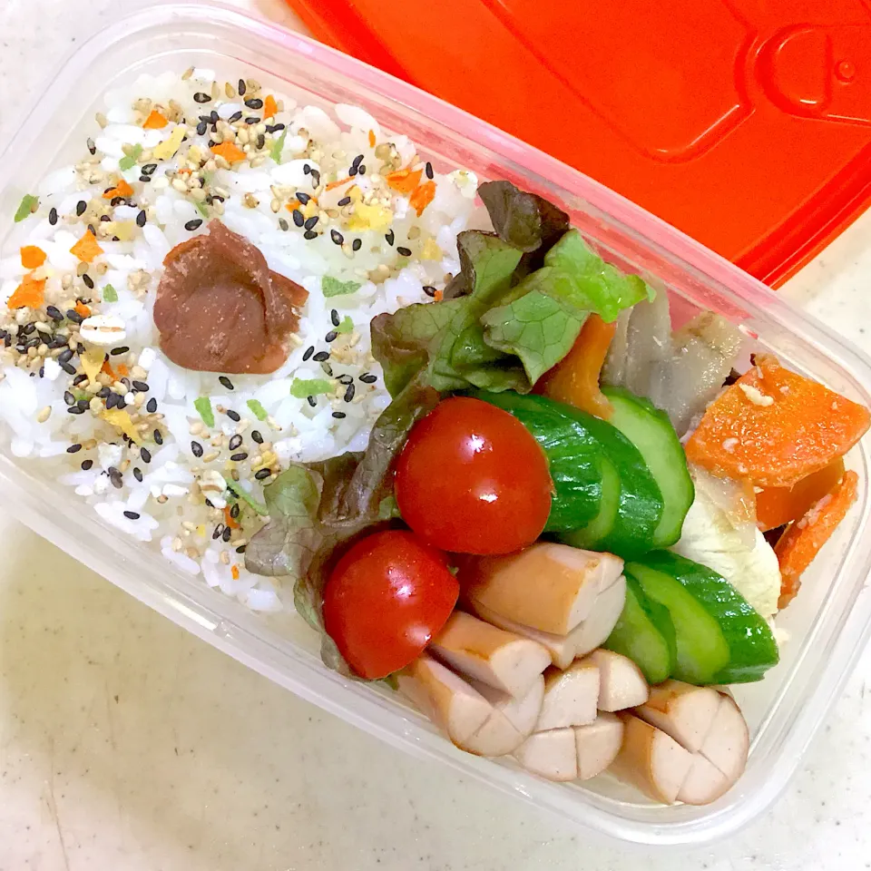 Snapdishの料理写真:Today's lunch box|hoppycowさん