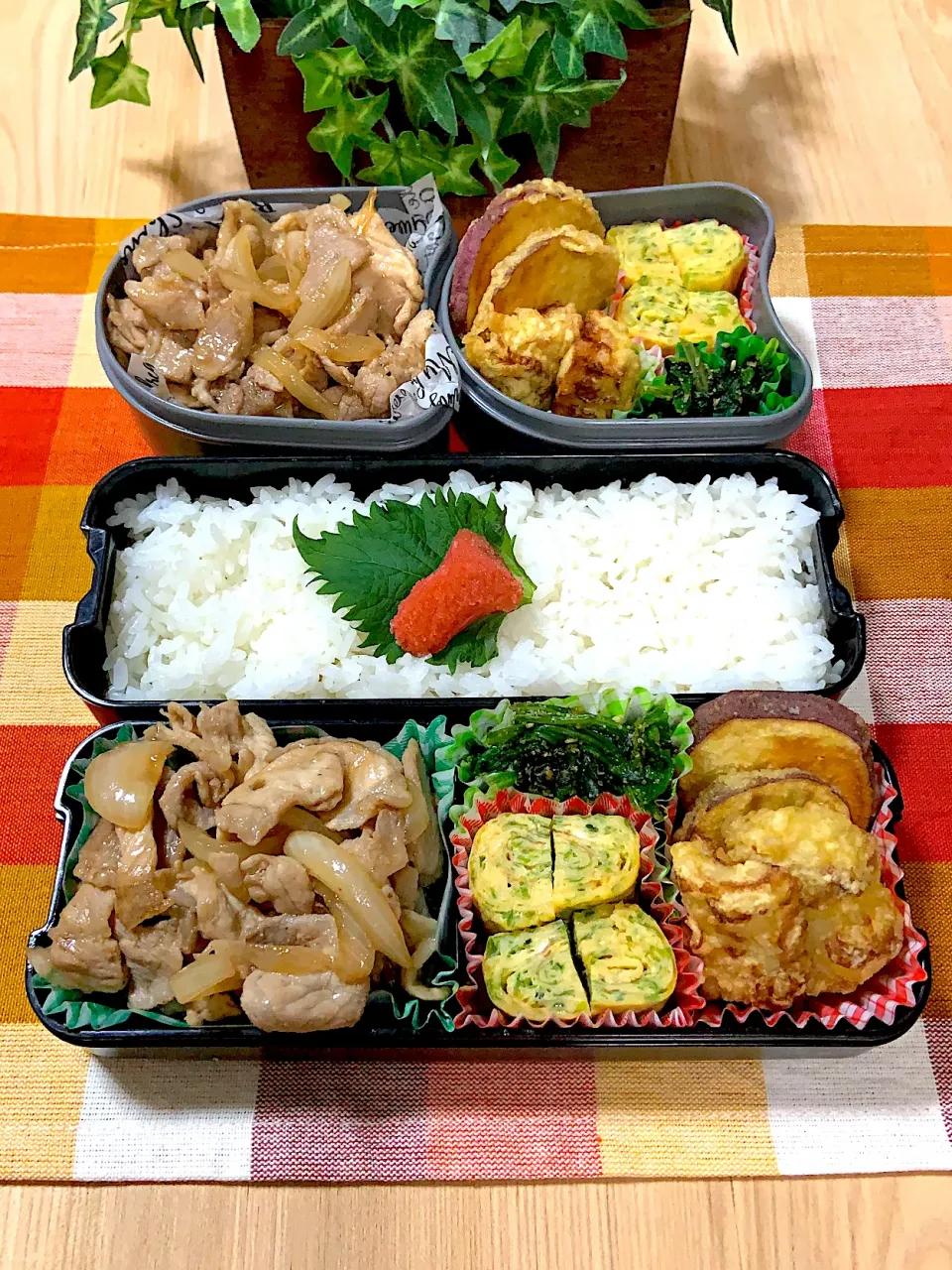 Snapdishの料理写真:豚コマのスタミナ弁当🍱|いとはんさん