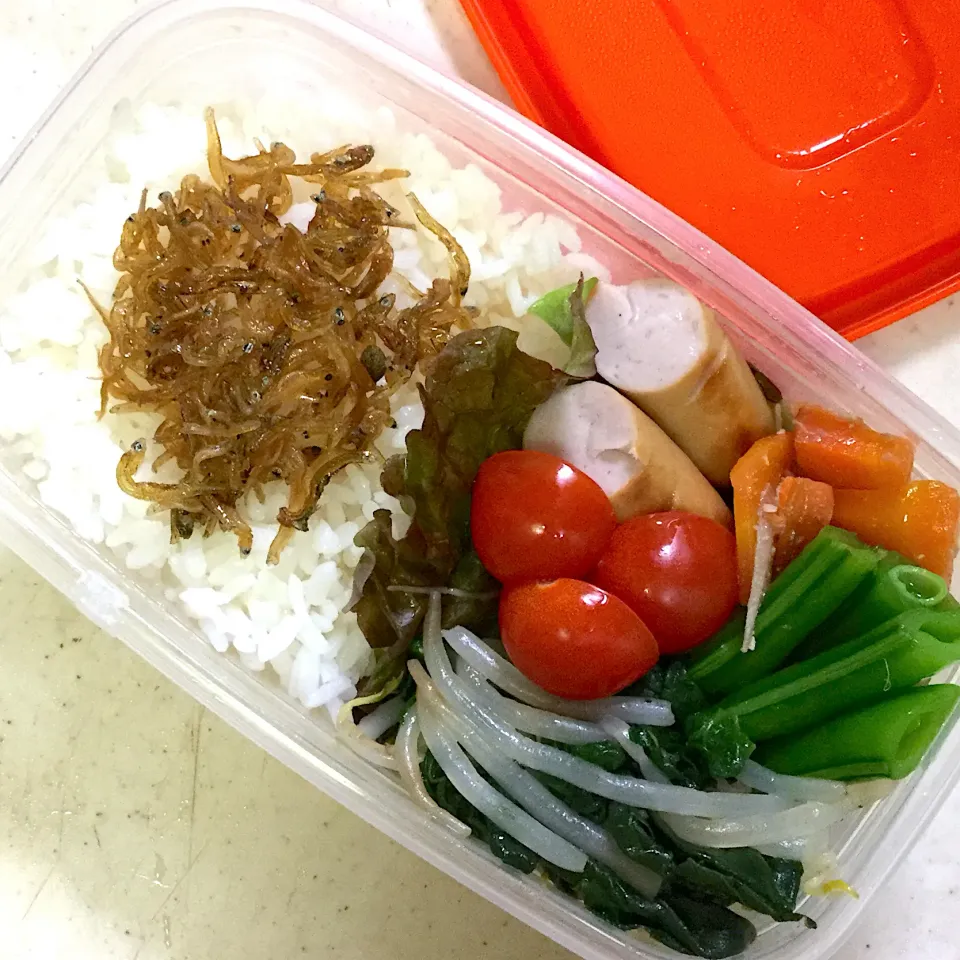 Today's lunch box|hoppycowさん