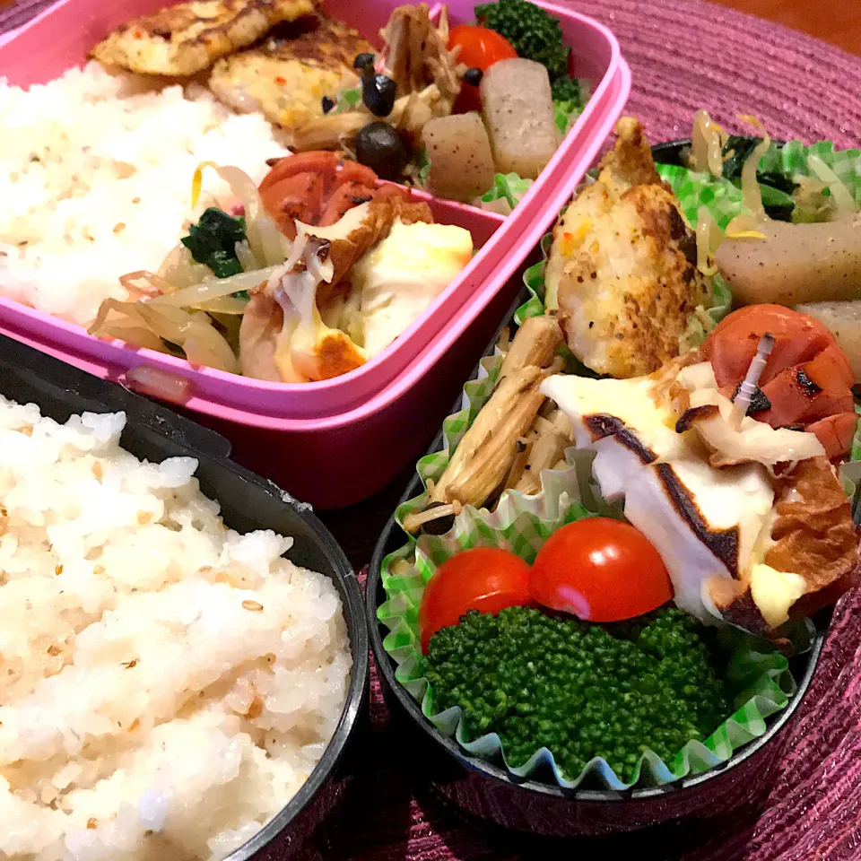 Snapdishの料理写真:今日のお弁当🍱|mokoさん