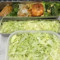 Snapdishの料理写真:糖質制限のお弁当|ari526msxさん