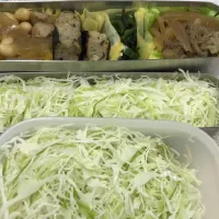 糖質制限のお弁当|ari526msxさん