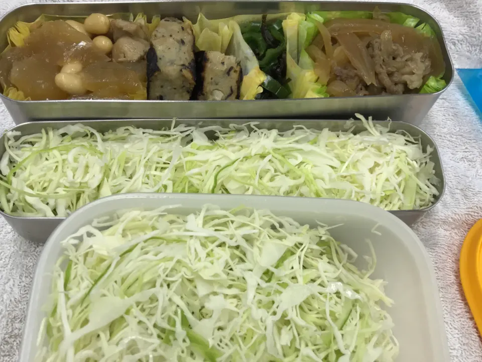 Snapdishの料理写真:糖質制限のお弁当|ari526msxさん