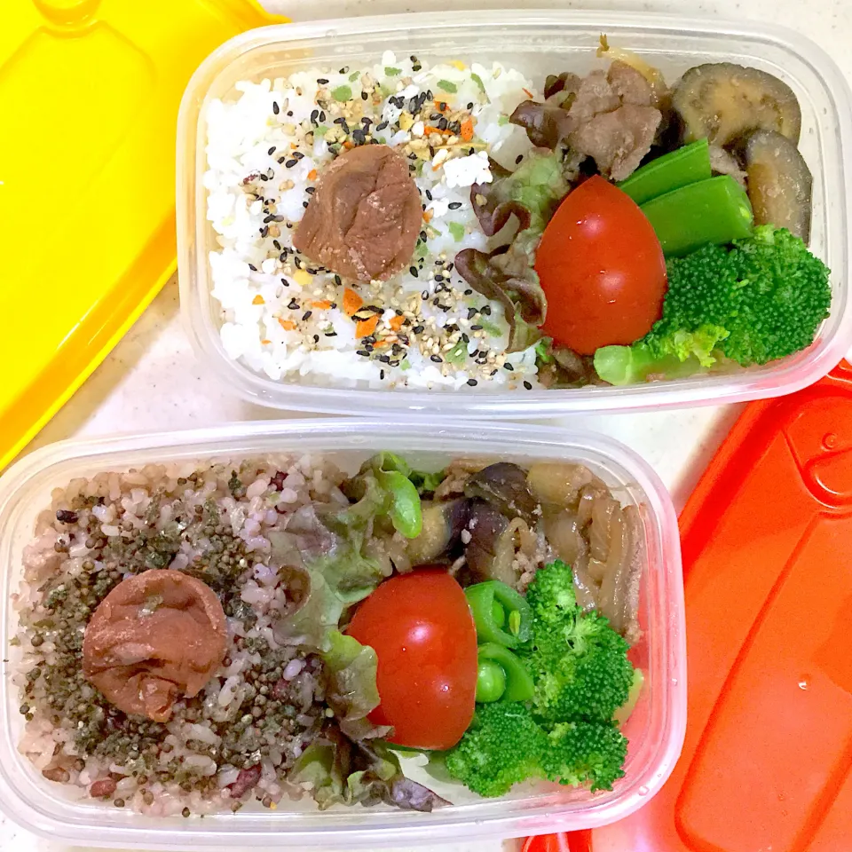 Today's lunch box|hoppycowさん