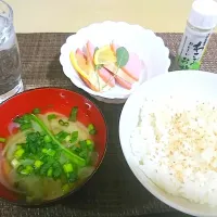 ネギ味噌汁|あきらさん