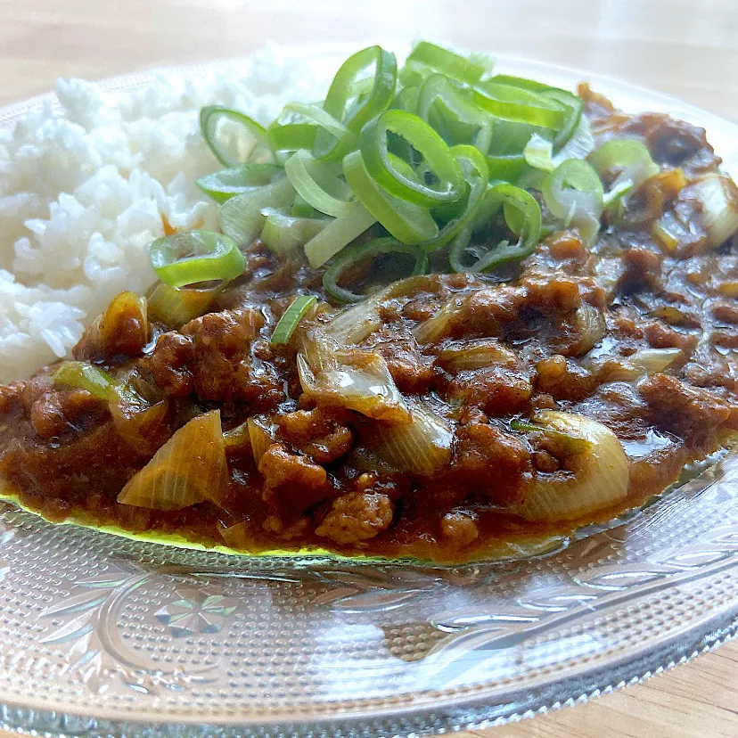 ネギたっぷりカレー|❁❁❁さん