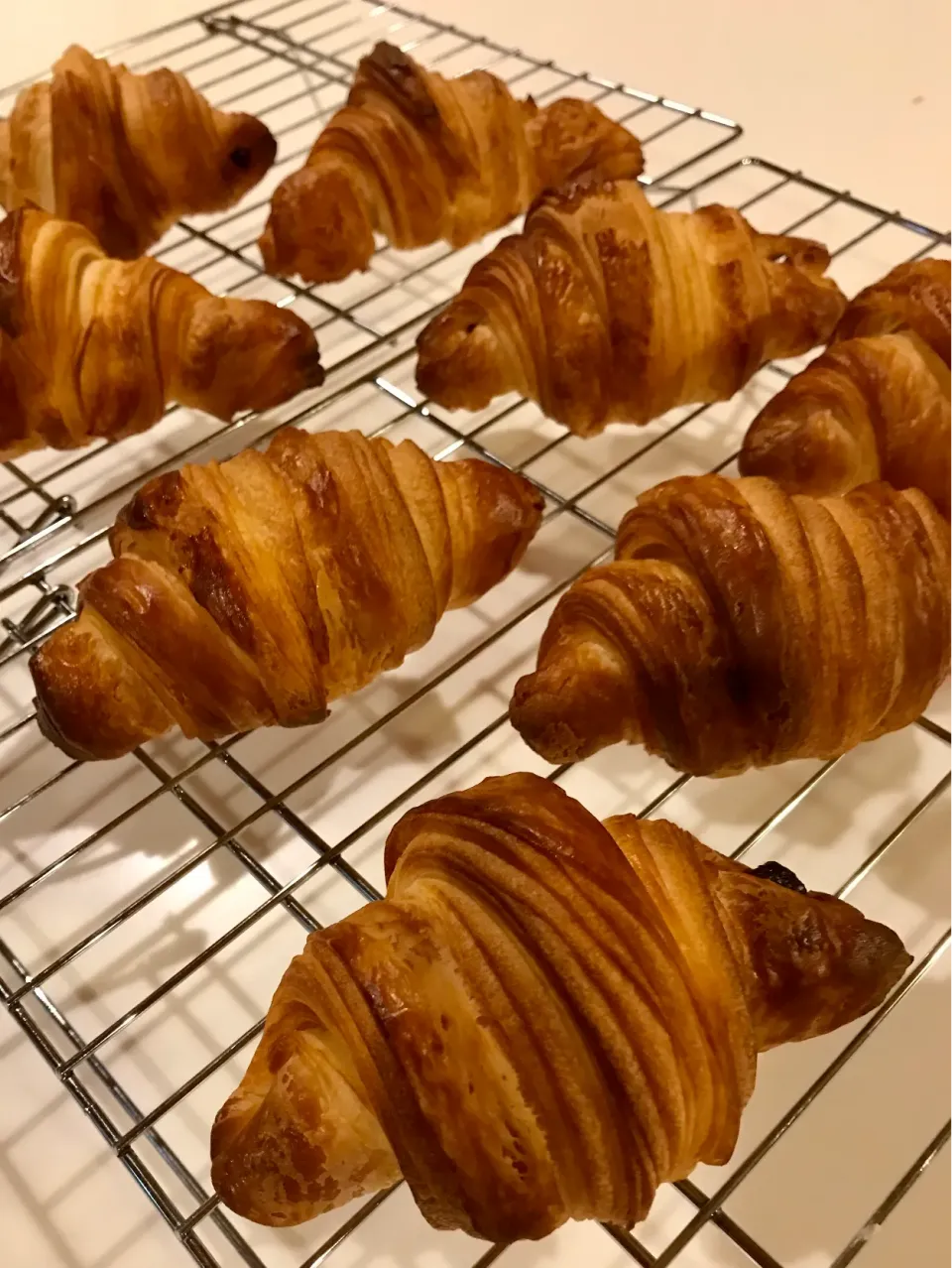 初めてのクロワッサン🥐チョコ入り♪|あまねこ🌿さん