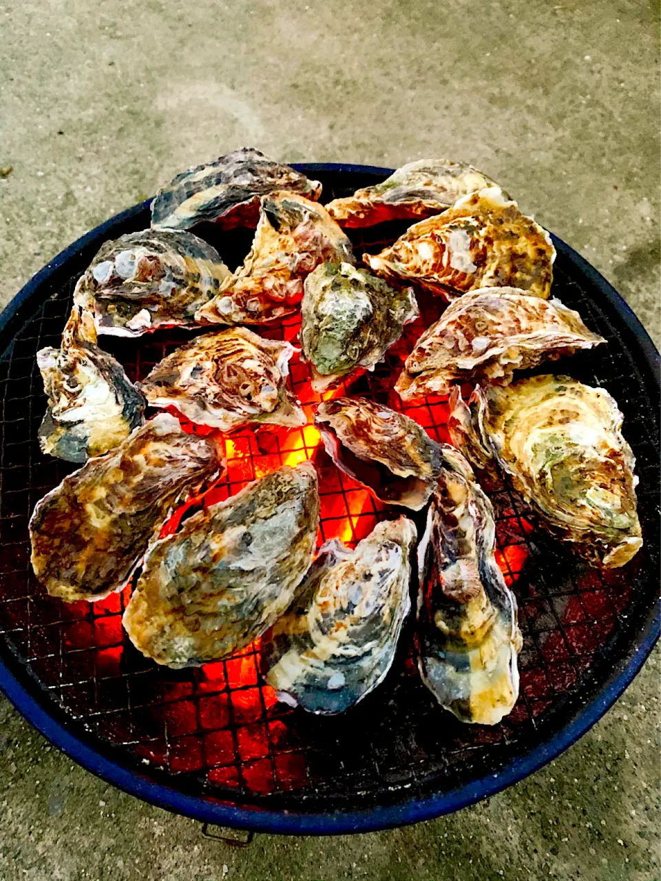 夕暮れ時の焼き牡蠣(平たいほうから焼くのが正解だったみたい…。)|良太さん