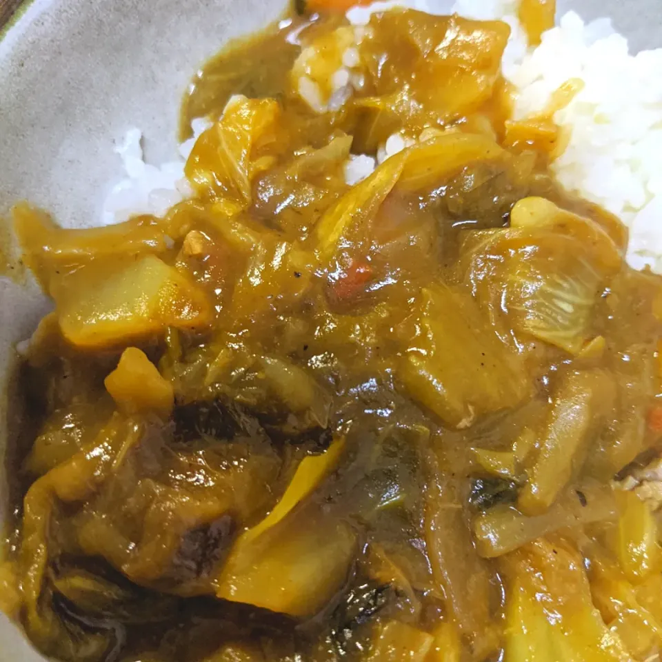 約1時間半煮込んだ【野菜カレー】|ふわふわおもちさん