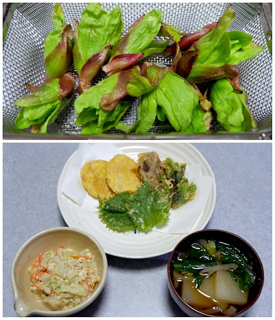 庭でとれたフキノトウといただき物のサツマイモと椎茸の天ぷらの晩ご飯|Orie Uekiさん