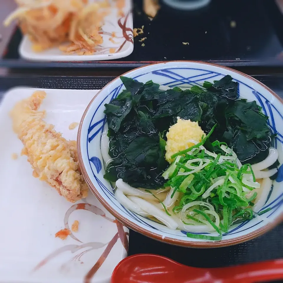 ワカメうどん|akkoさん