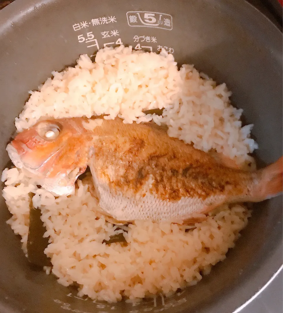 釣果の鯛で、美味しい鯛めし炊き上がり！|ケイコさん