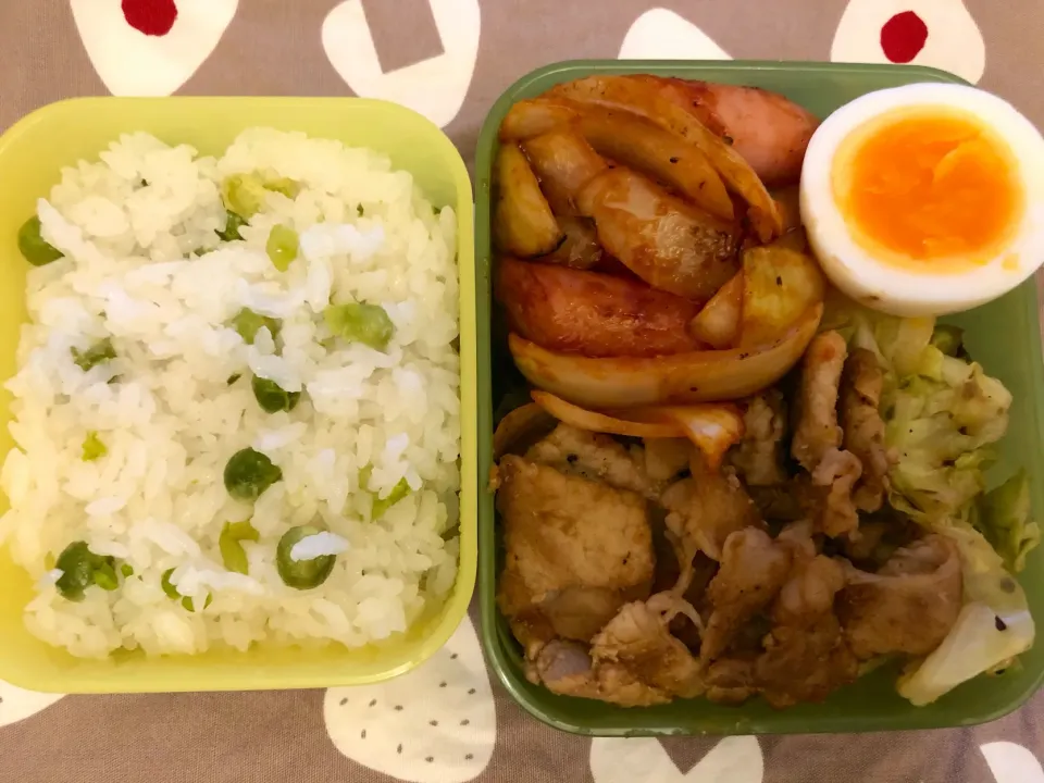 グリンピースごはん弁当|freeさん