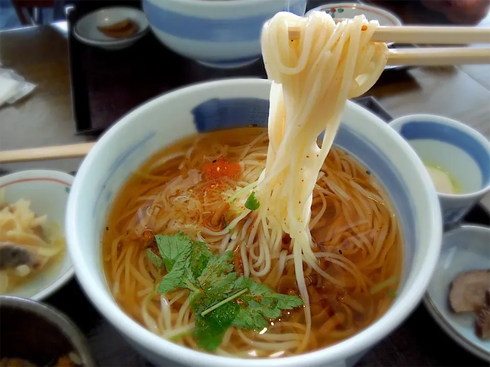 佐藤養助稲庭うどん 横手店|Takeshi  Nagakiさん