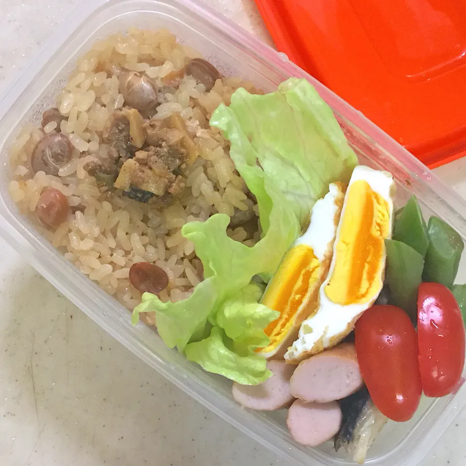 Today's lunch box|hoppycowさん