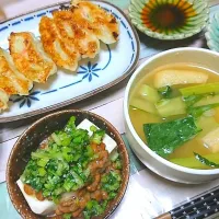 野菜沢山の餃子
にんじんシリシリ
カブの葉の塩麹ごま油漬け+納豆冷奴|ちょこさん