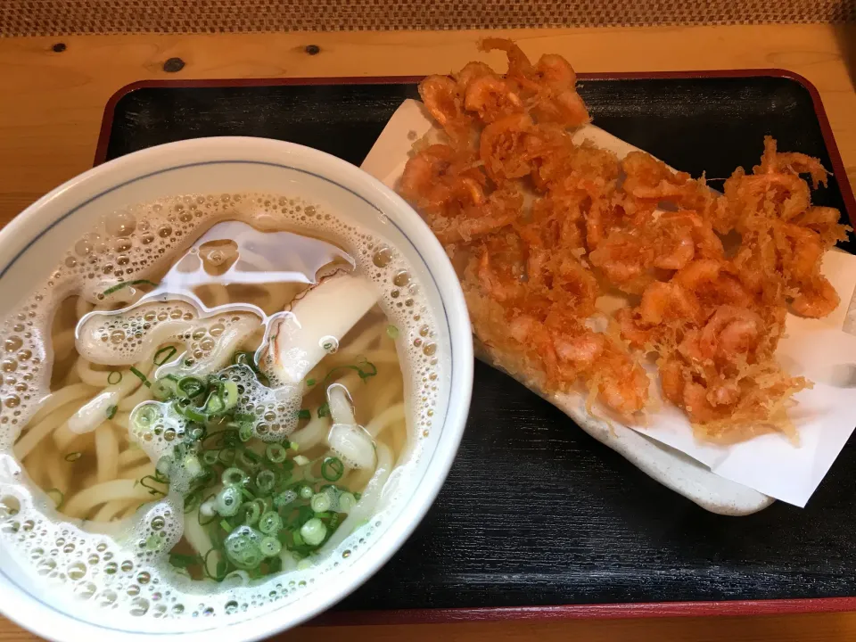 Snapdishの料理写真:うどん　姫エビのかき揚げ|織友さん