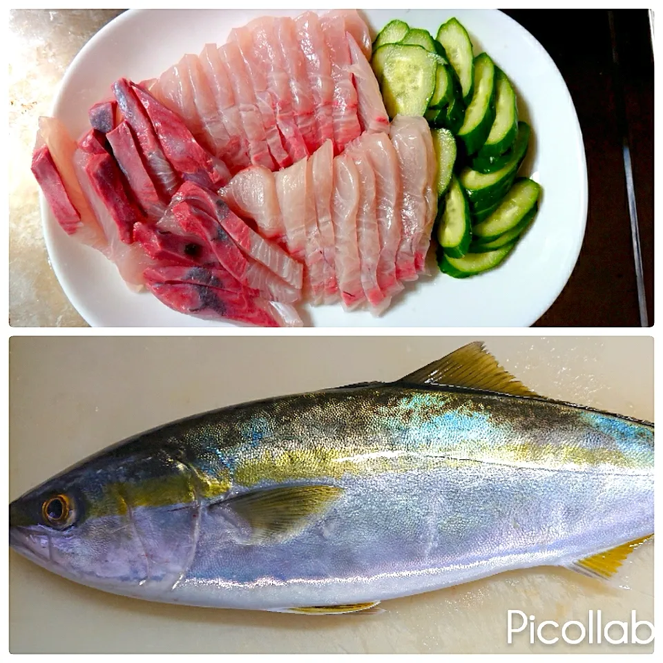 釣って来てもらった🎣カンパチを刺し身にしました🐟|no-noさん