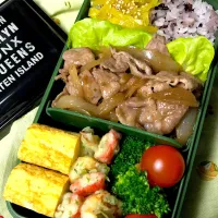 Snapdishの料理写真:豚肉の生姜焼き弁当|りかさん