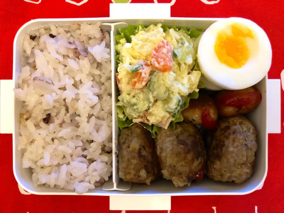 Snapdishの料理写真:ハンバーグ弁当|freeさん