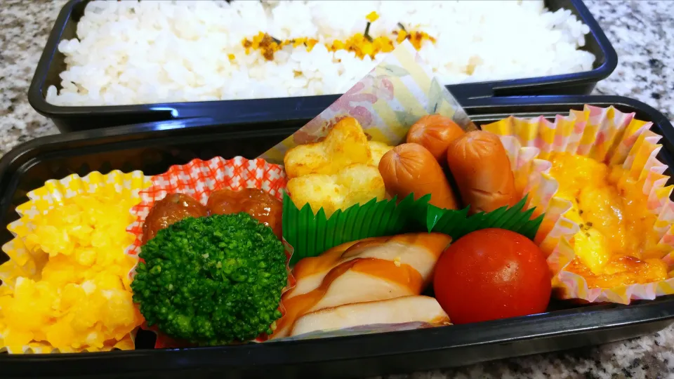 Snapdishの料理写真:19.09.03の夫くんへのお弁当🍱|💗やよ💗さん