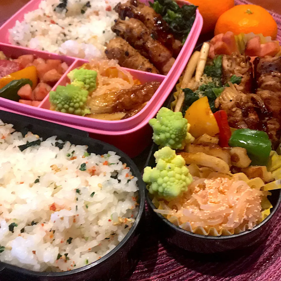 今日のお弁当🍱|mokoさん