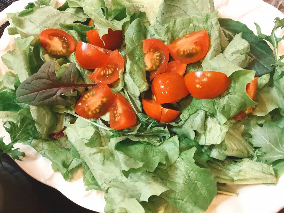 たまには生野菜も食べないとねー🥗😋|アライさんさん