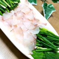 ホウボウのお刺身