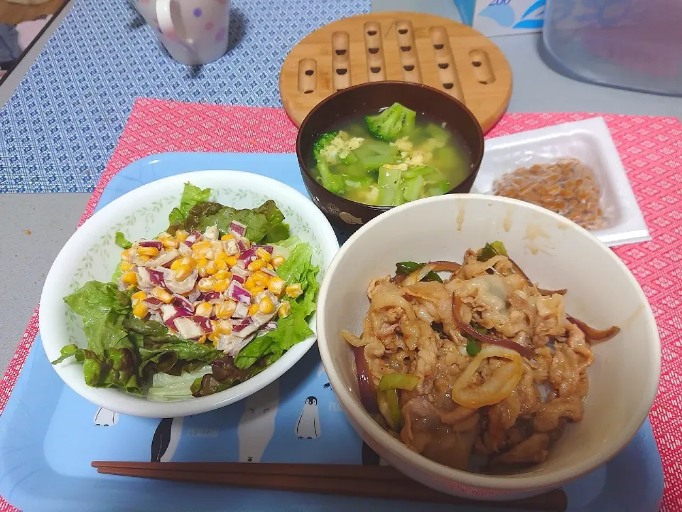 夜ご飯|めいさん