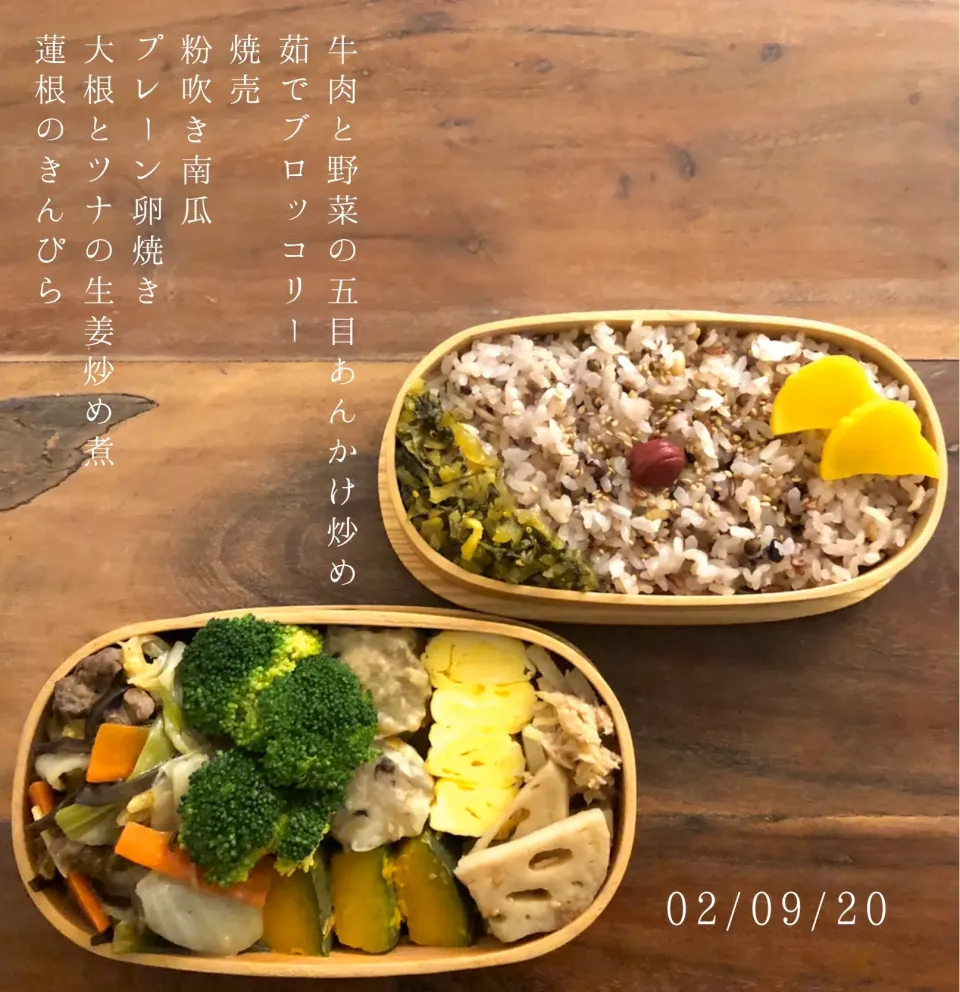 Snapdishの料理写真:お弁当|ひい氏さん