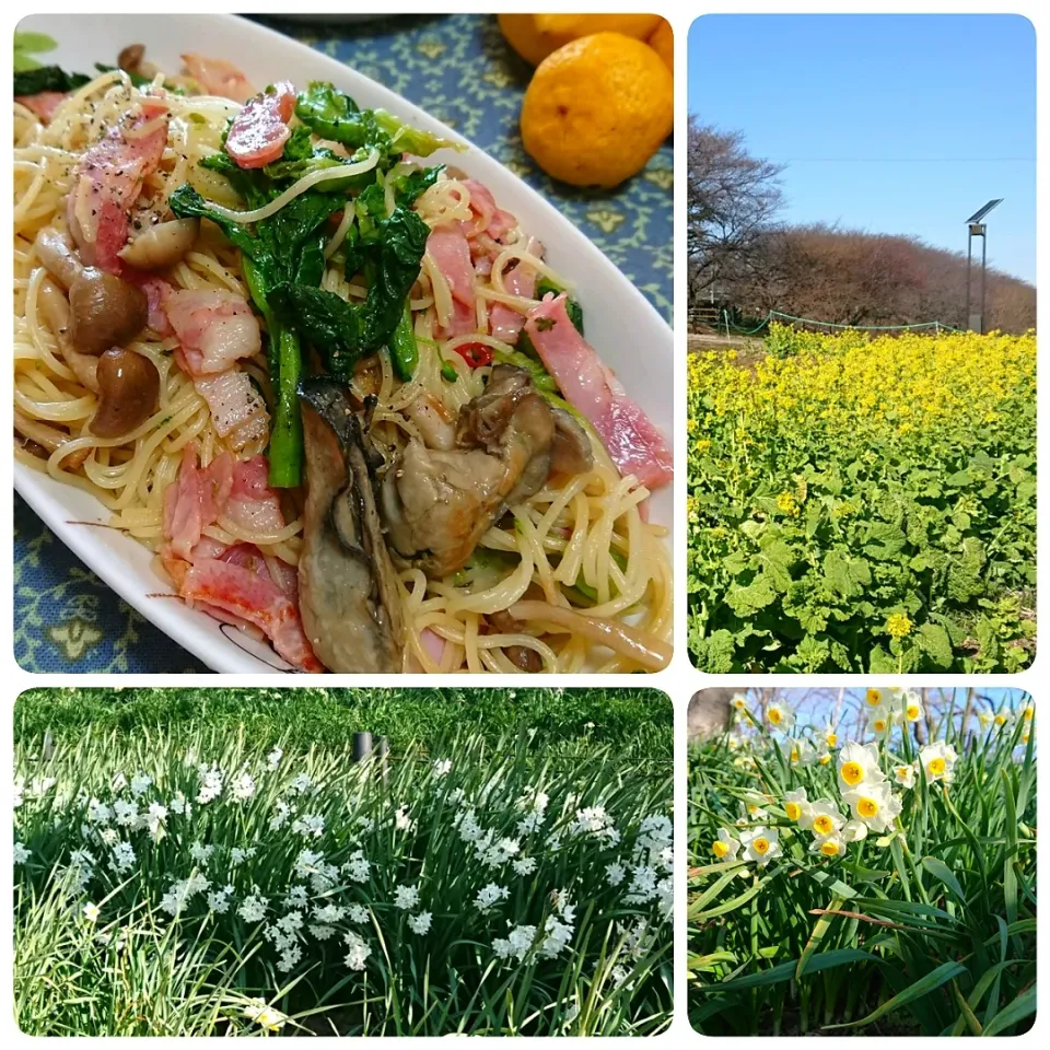 菜の花のからし和えとベーコン
牡蠣のオイル漬け～でパスタランチ
権現堂～～水仙まつり|とまと🍅さん