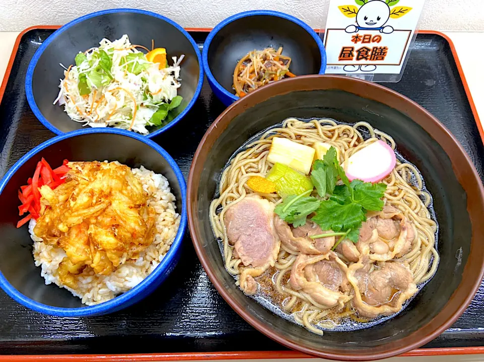 Snapdishの料理写真:鴨南そば＆ミニかき揚げ丼セット|nyama1さん