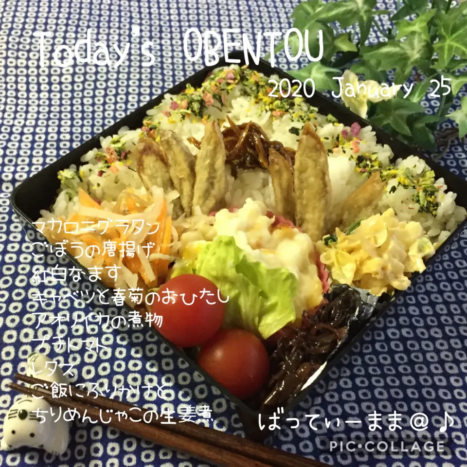 Snapdishの料理写真:マカロニグラタンなどのお弁当♡|ばってぃーまま＠♪さん