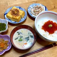 いくら丼と粕汁の定食