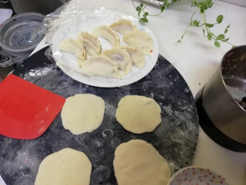 '20.2/11　
初めての手作り餃子の皮で餃子😋|たえさん