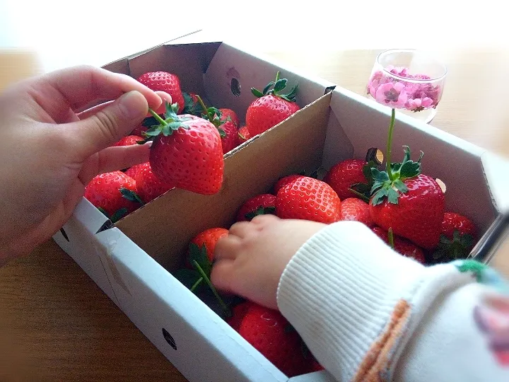 Snapdishの料理写真:✽おばあちゃんから🍓が届いた〜📦✨✽|＊抹茶＊さん