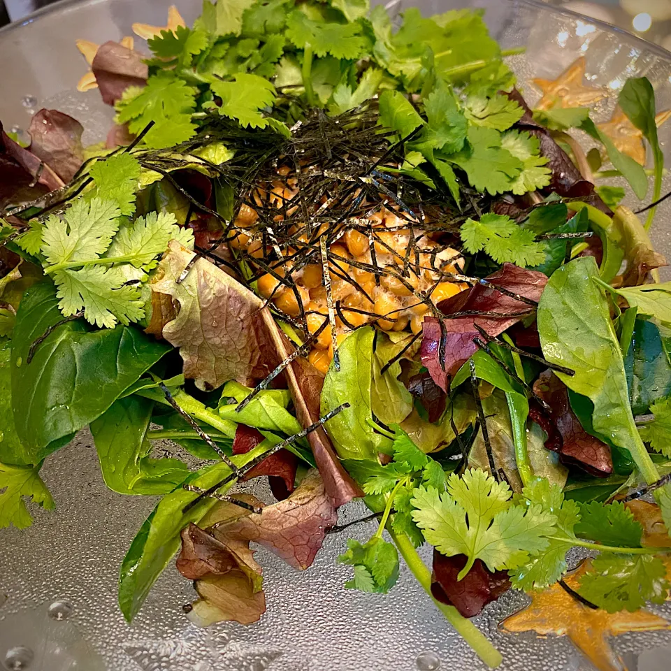 納豆サラダ🥗パクチー添え|にゃあ（芸名）さん