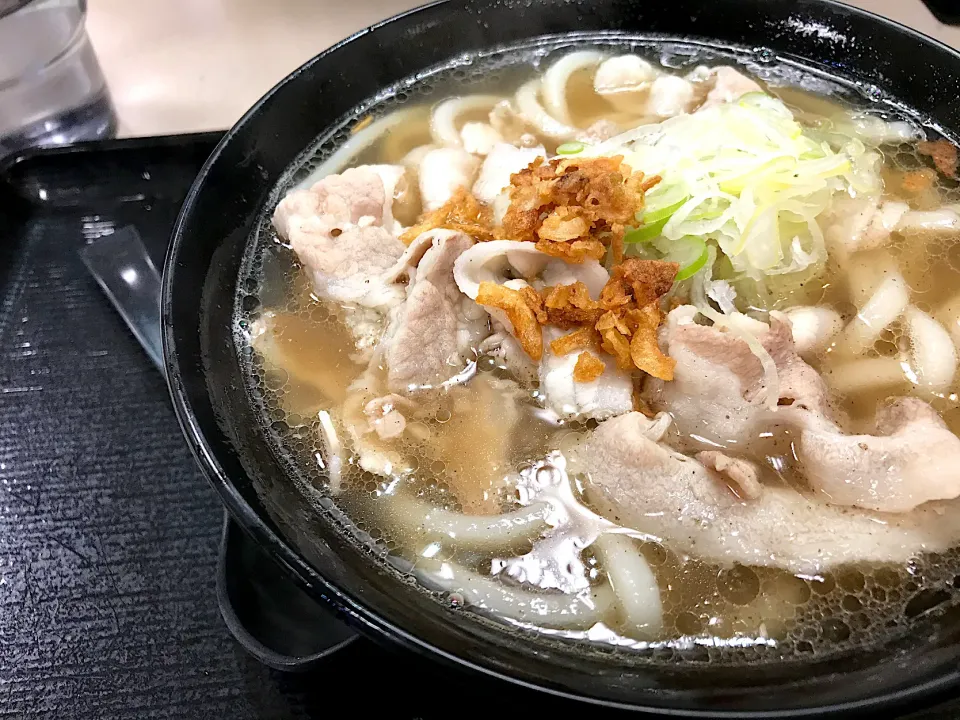 Snapdishの料理写真:肉骨茶うどん|マハロ菊池さん