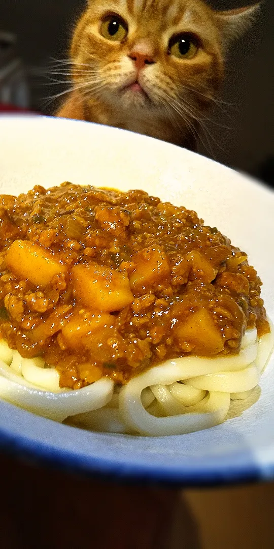 茄子とじゃが芋のキーマカレーうどん🍜|さくらんぼさん