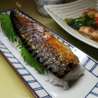 ぶりさんの鯖寿司