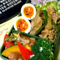 Snapdishの料理写真:豚肉のカレー炒め弁当|りかさん