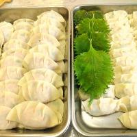 餃子パーティー🥟🍻😊